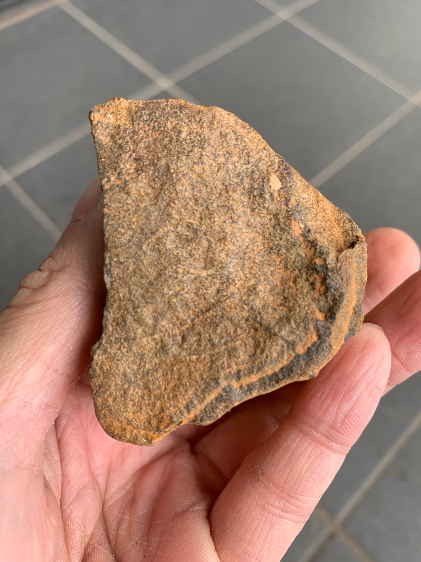 Bonus Rock + Starter Rocks. Rough Boulder Opal. 380 Grams.