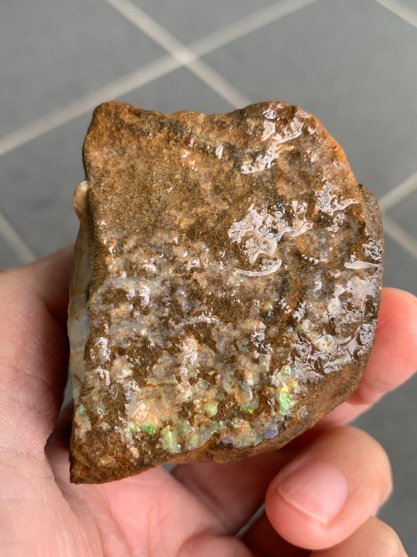 Bonus Rock + Starter Rocks. Rough Boulder Opal. 380 Grams.