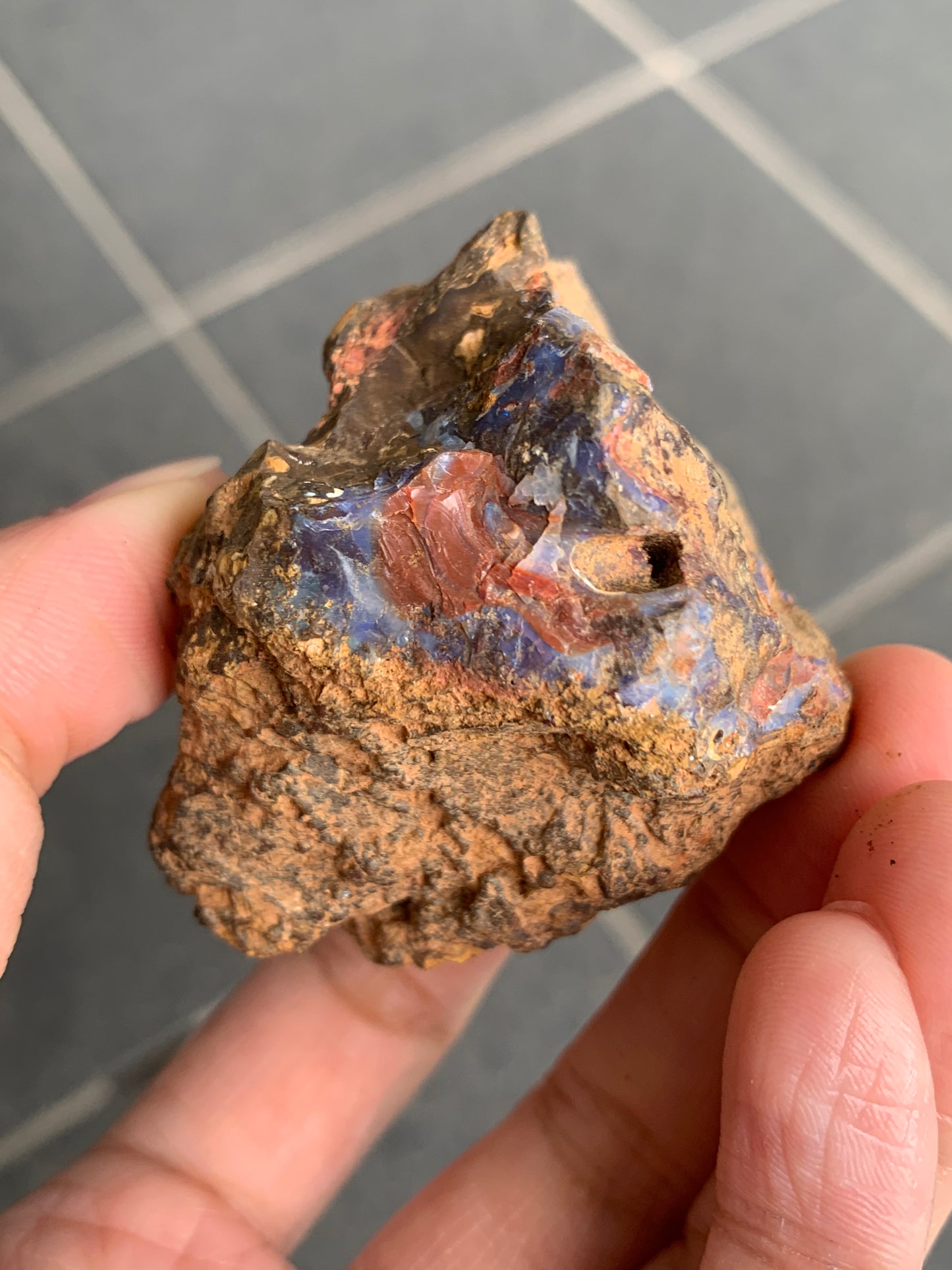 Bonus Rock + Starter Rocks. Rough Boulder Opal. 380 Grams.