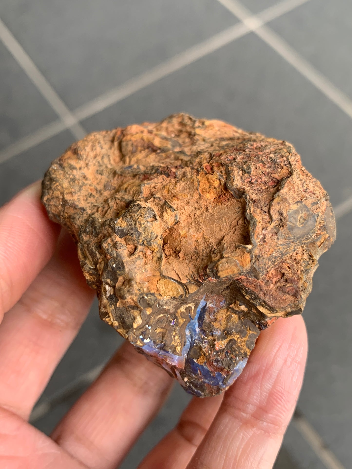 Bonus Rock + Starter Rocks. Rough Boulder Opal. 380 Grams.