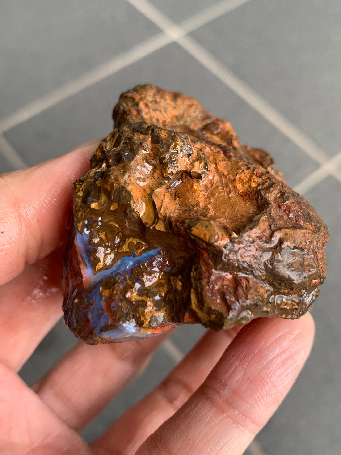 Bonus Rock + Starter Rocks. Rough Boulder Opal. 380 Grams.