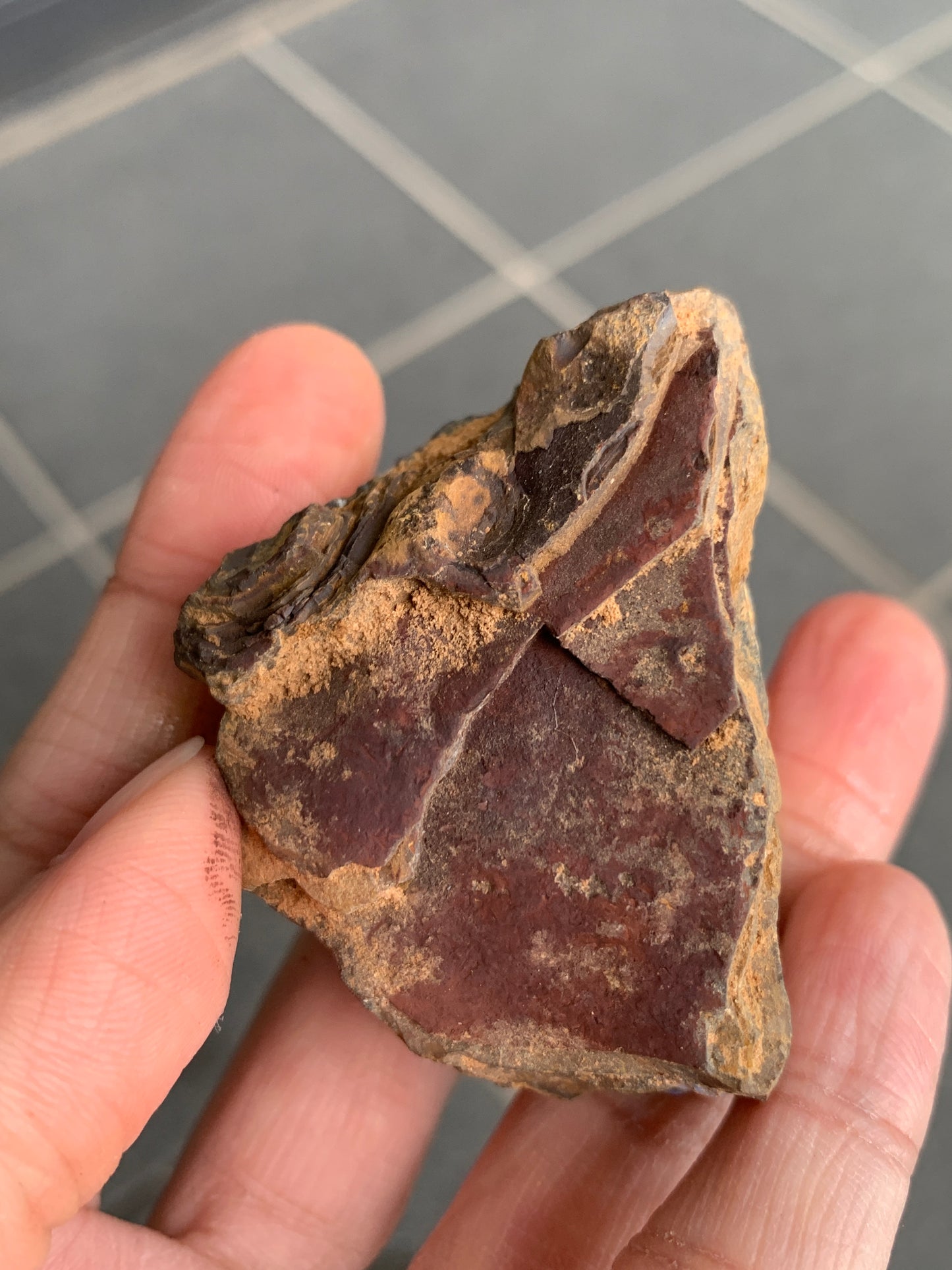 Bonus Rock + Starter Rocks. Rough Boulder Opal. 380 Grams.
