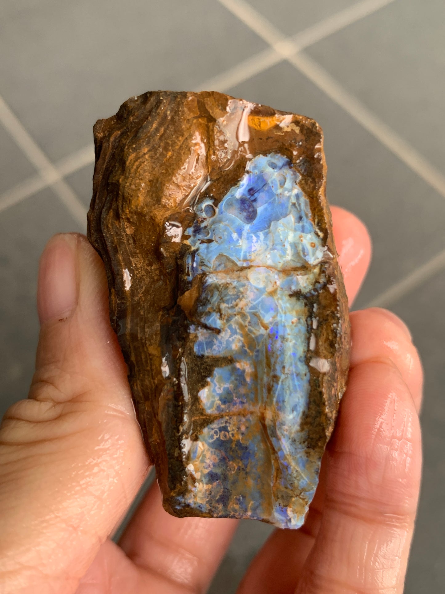 Bonus Rock + Starter Rocks. Rough Boulder Opal. 380 Grams.