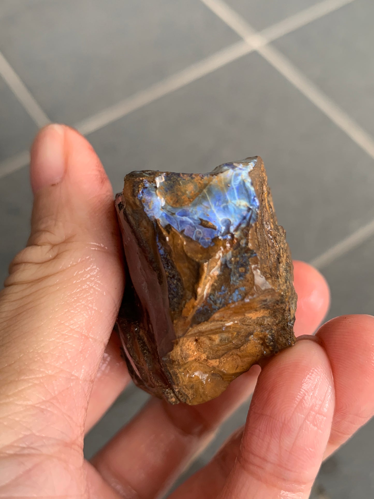Bonus Rock + Starter Rocks. Rough Boulder Opal. 380 Grams.