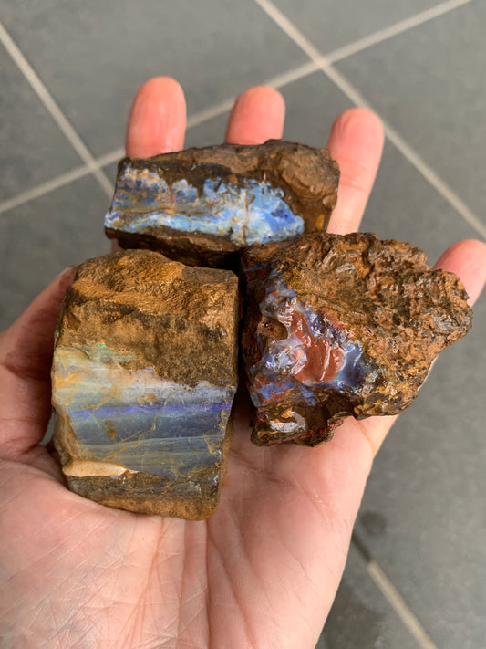 Bonus Rock + Starter Rocks. Rough Boulder Opal. 380 Grams.