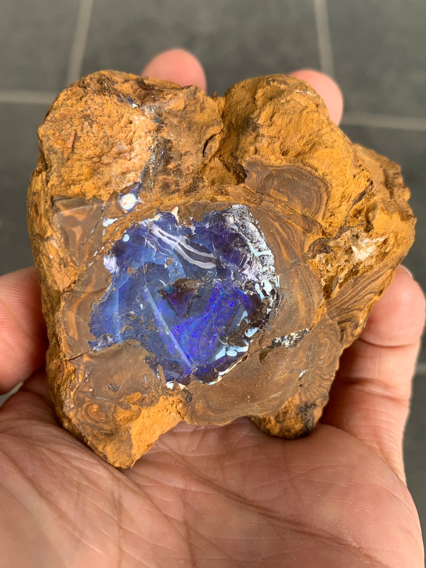Bonus Rock + Purple Rocks. Rough Boulder Opal. 479 Grams.