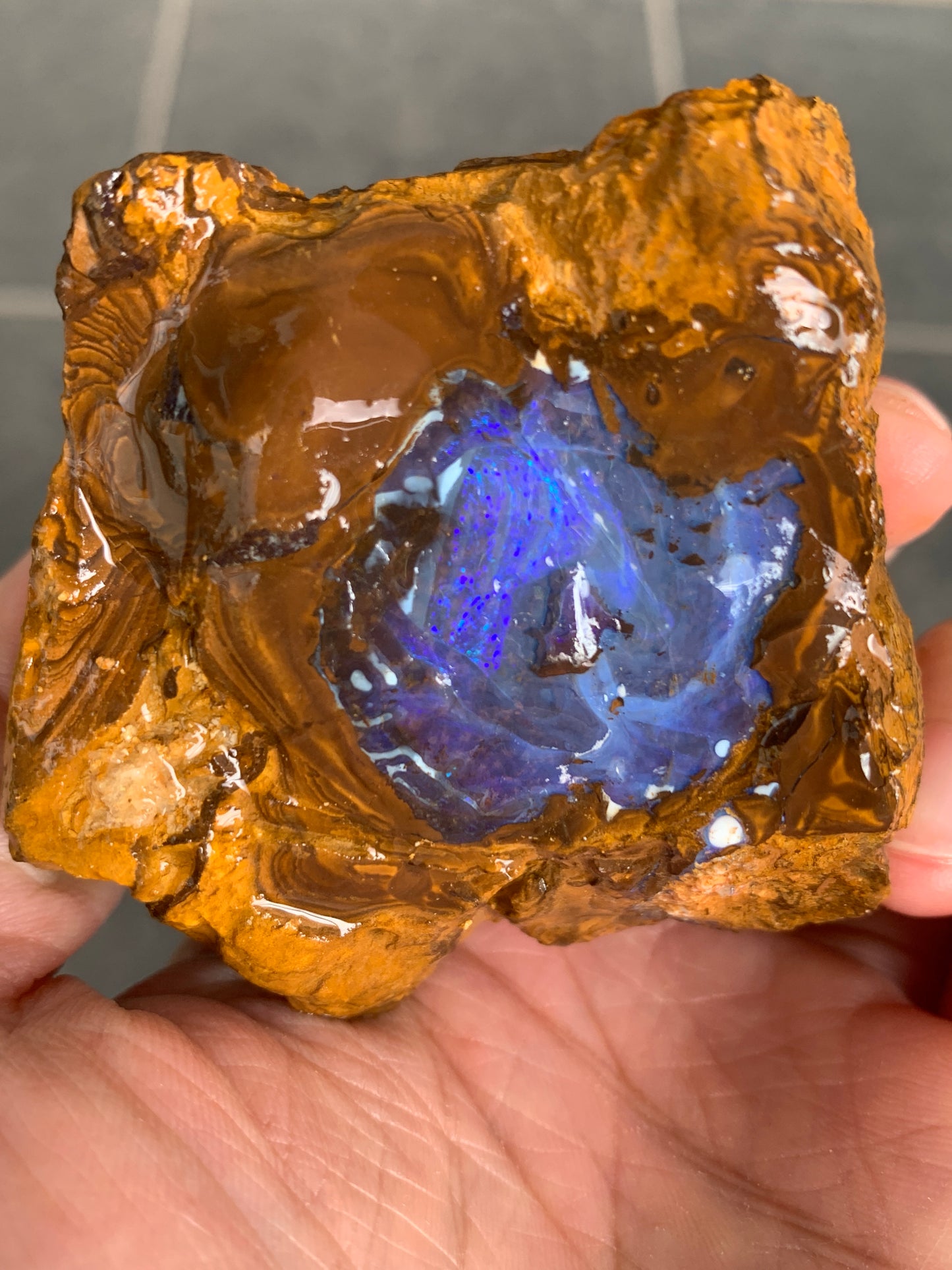 Bonus Rock + Purple Rocks. Rough Boulder Opal. 479 Grams.