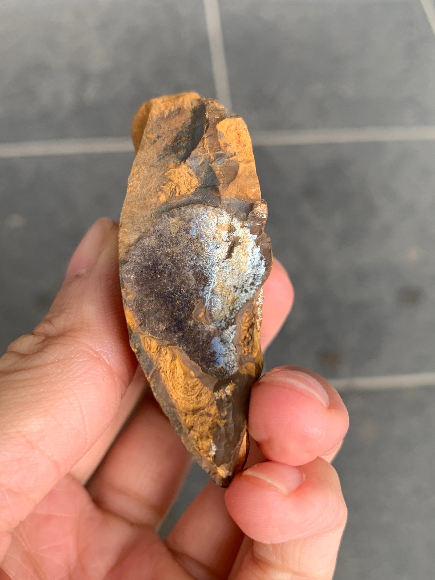 Bonus Rock + Purple Rocks. Rough Boulder Opal. 479 Grams.