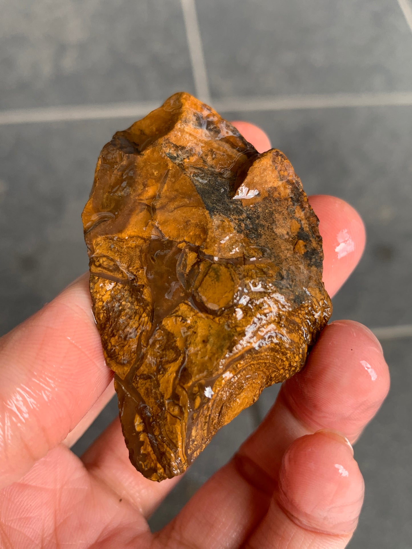 Bonus Rock + Purple Rocks. Rough Boulder Opal. 479 Grams.