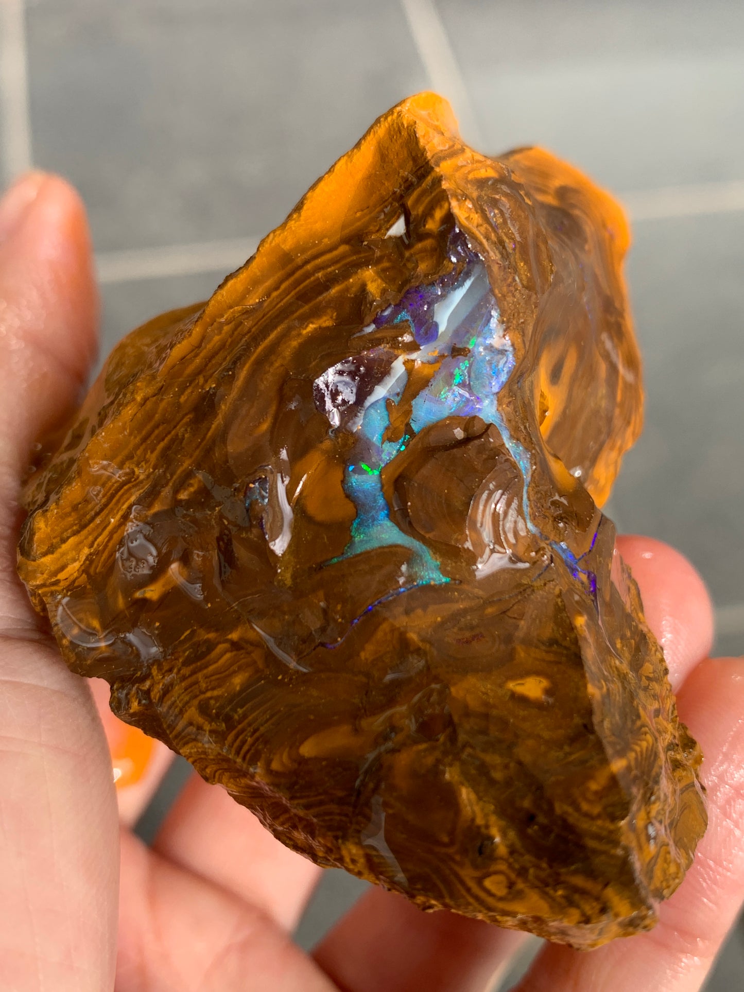 Green Rewards. Rough Boulder Opal Set of Two. 340 Grams.