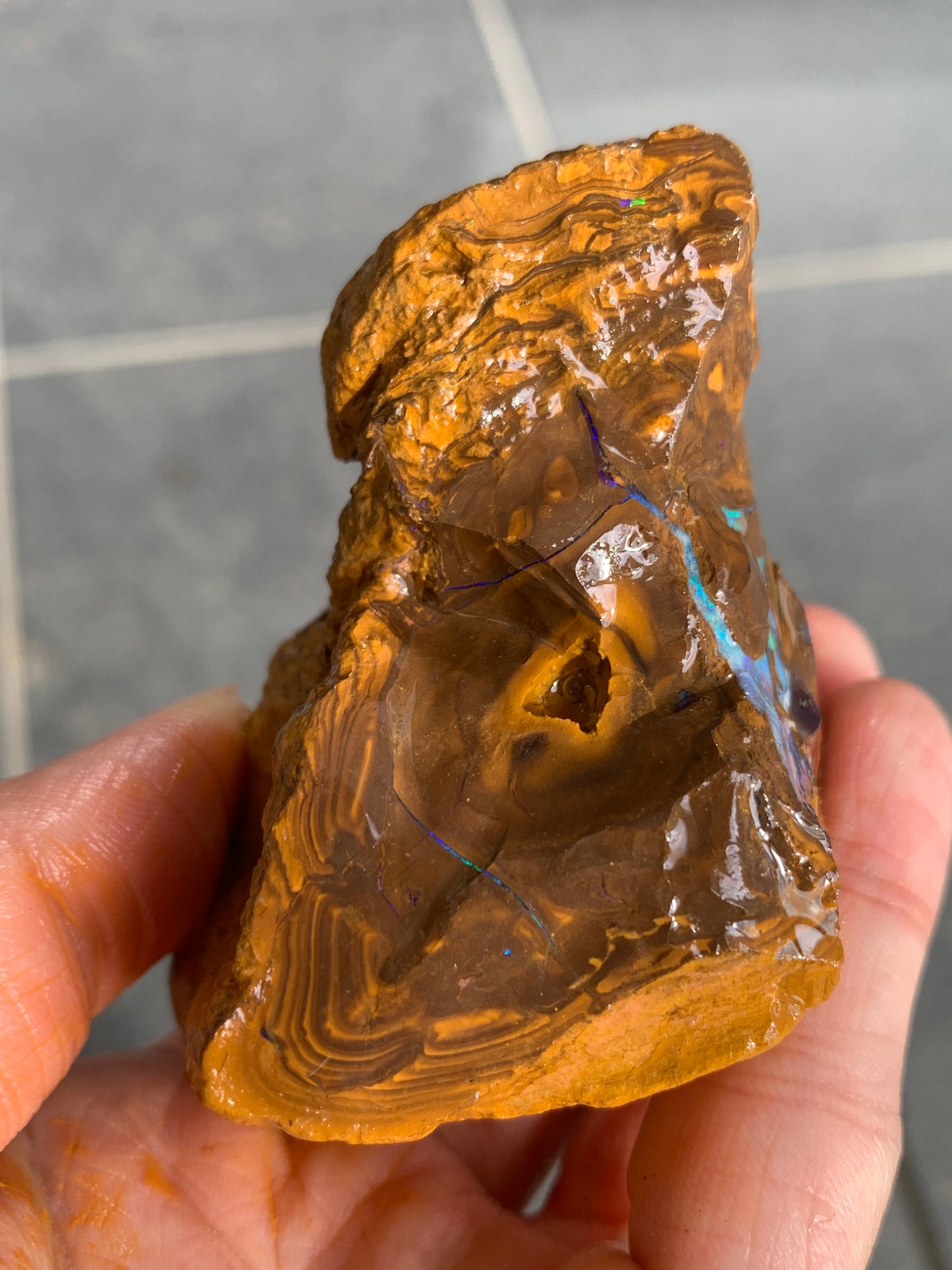 Green Rewards. Rough Boulder Opal Set of Two. 340 Grams.