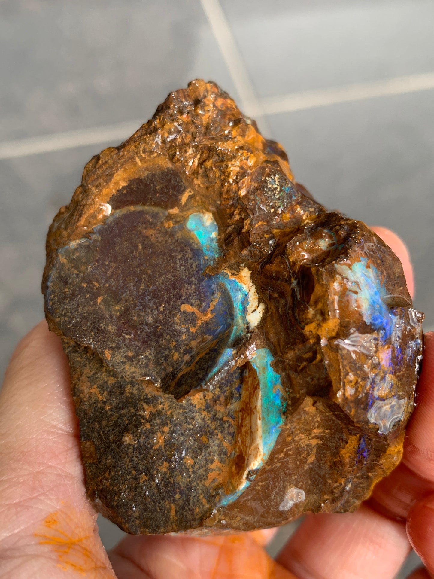 Green Rewards. Rough Boulder Opal Set of Two. 340 Grams.