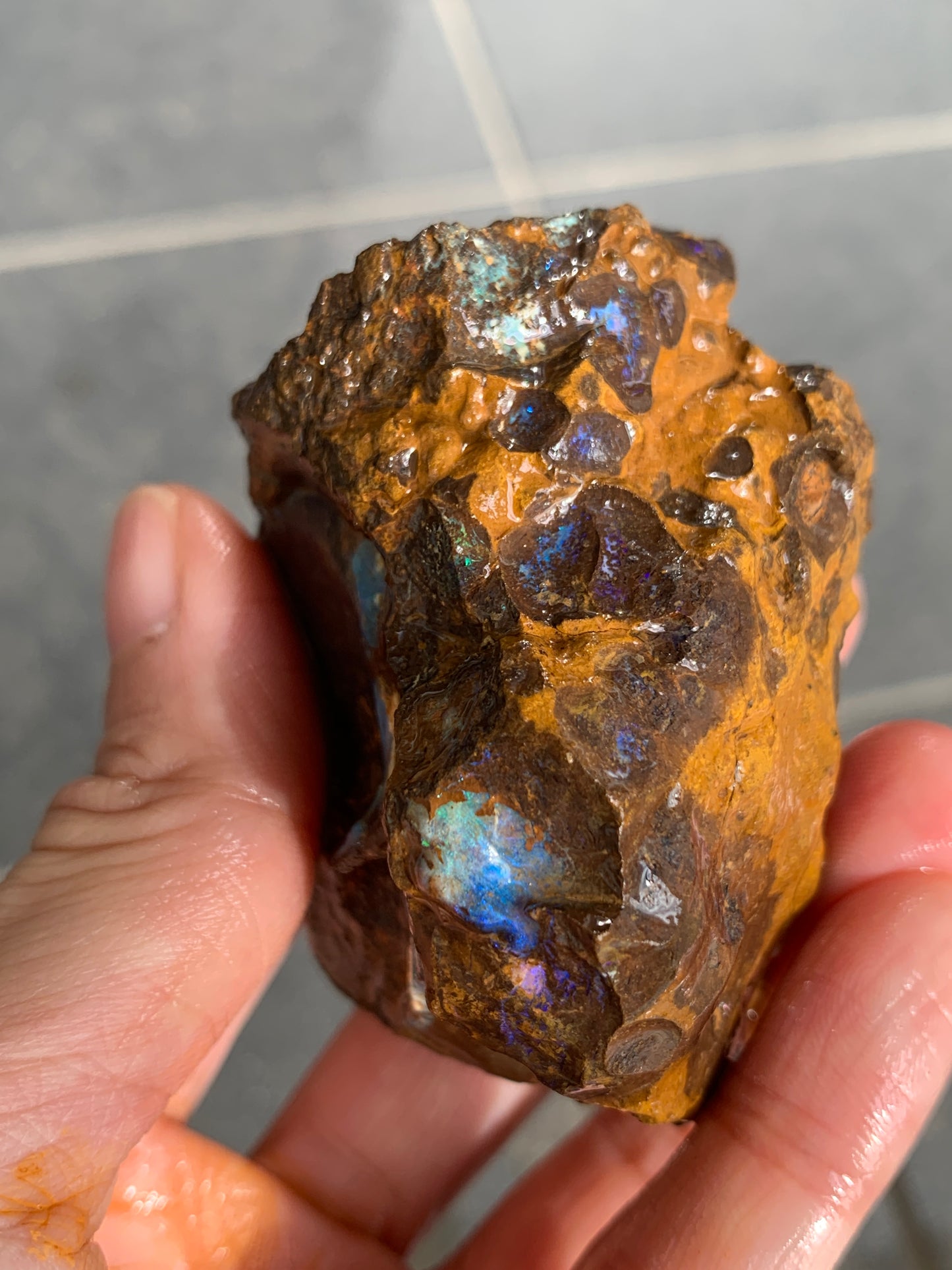 Green Rewards. Rough Boulder Opal Set of Two. 340 Grams.