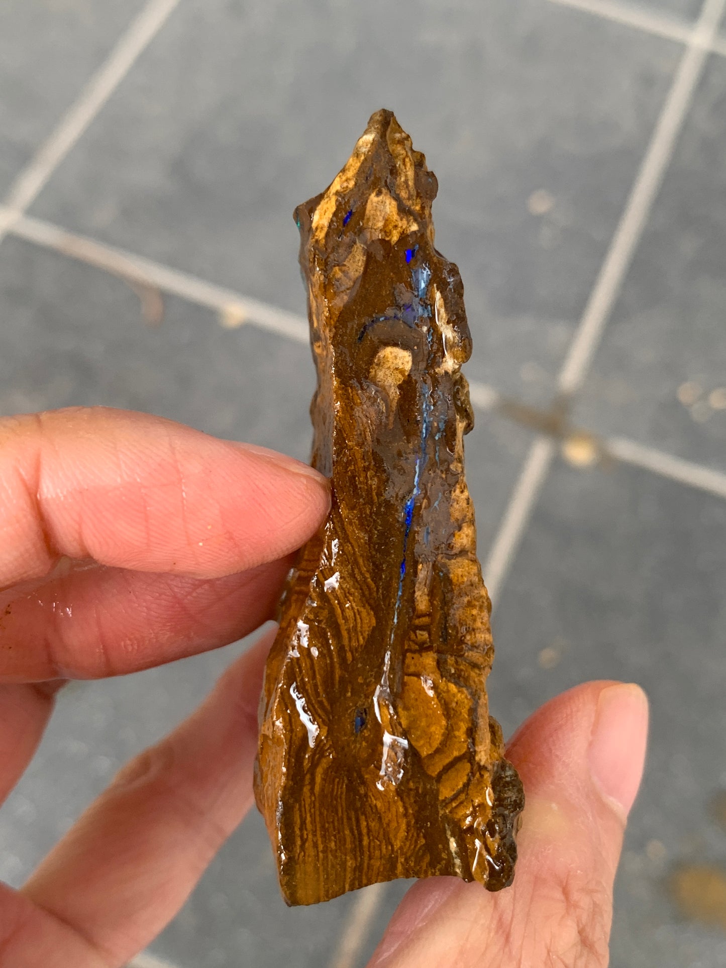 Take Five. Rough Boulder Opal Rocks. 357 Grams.