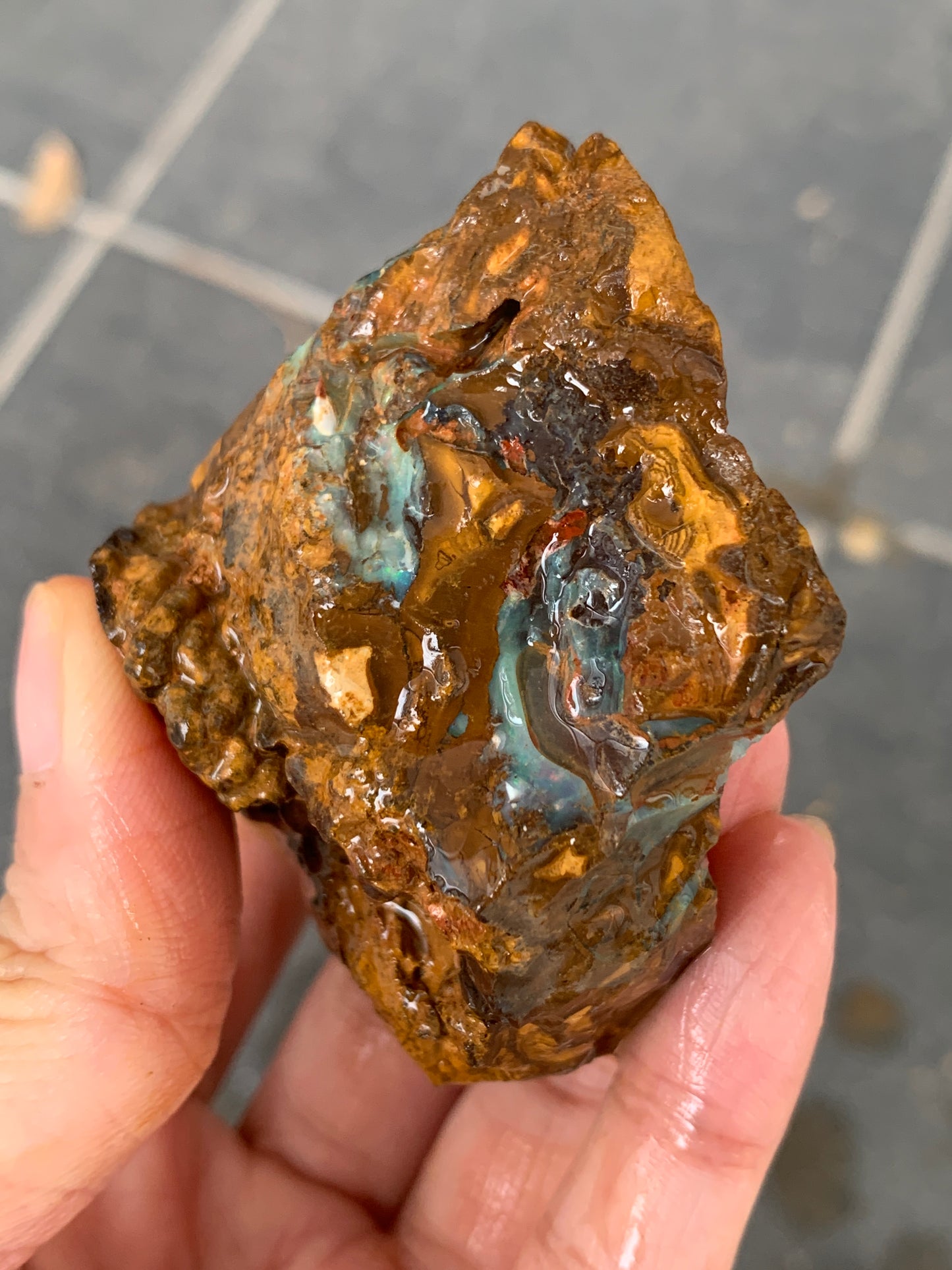 Take Five. Rough Boulder Opal Rocks. 357 Grams.