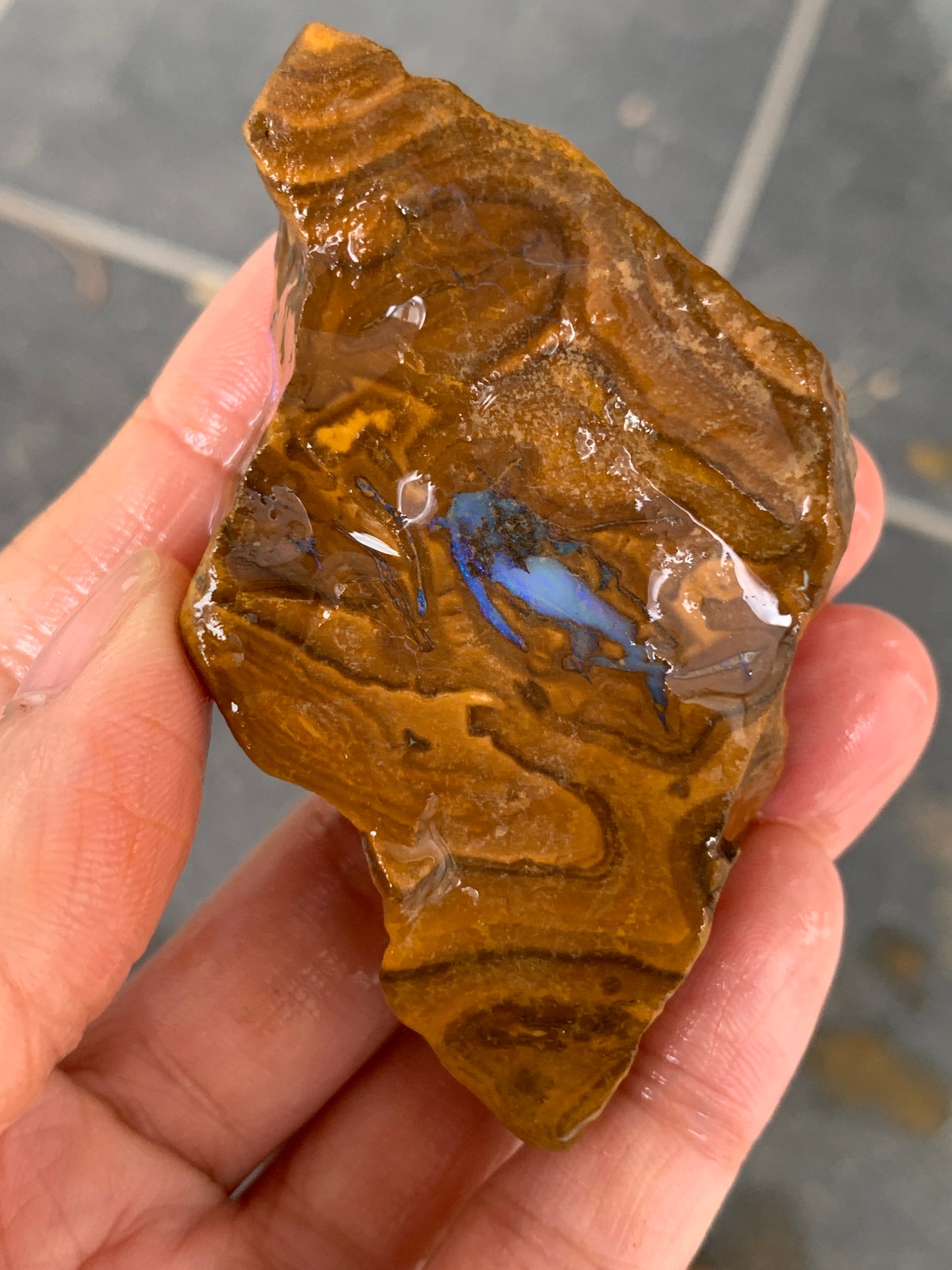 Take Five. Rough Boulder Opal Rocks. 357 Grams.