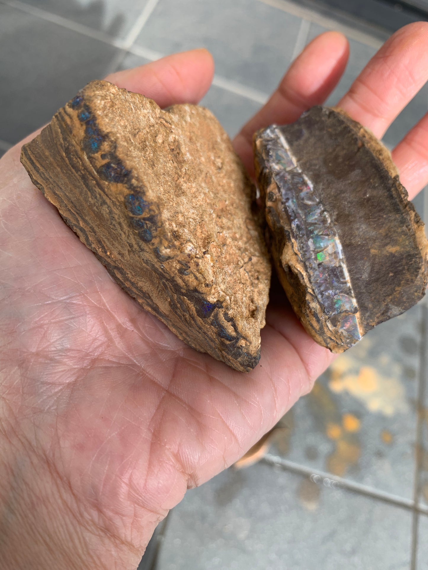 Roof Rocks. Rough Boulder Opal Set of Two. 259 Grams.