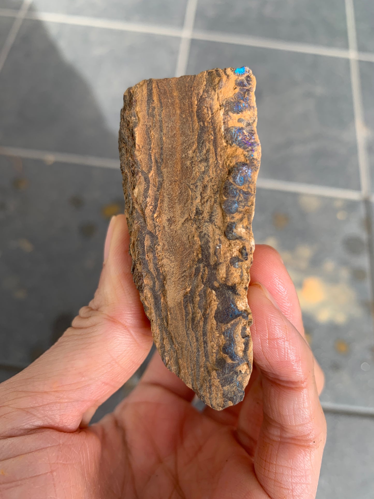 Roof Rocks. Rough Boulder Opal Set of Two. 259 Grams.