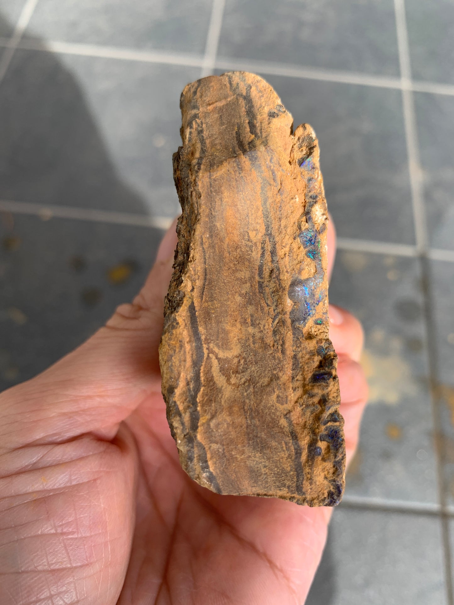 Roof Rocks. Rough Boulder Opal Set of Two. 259 Grams.