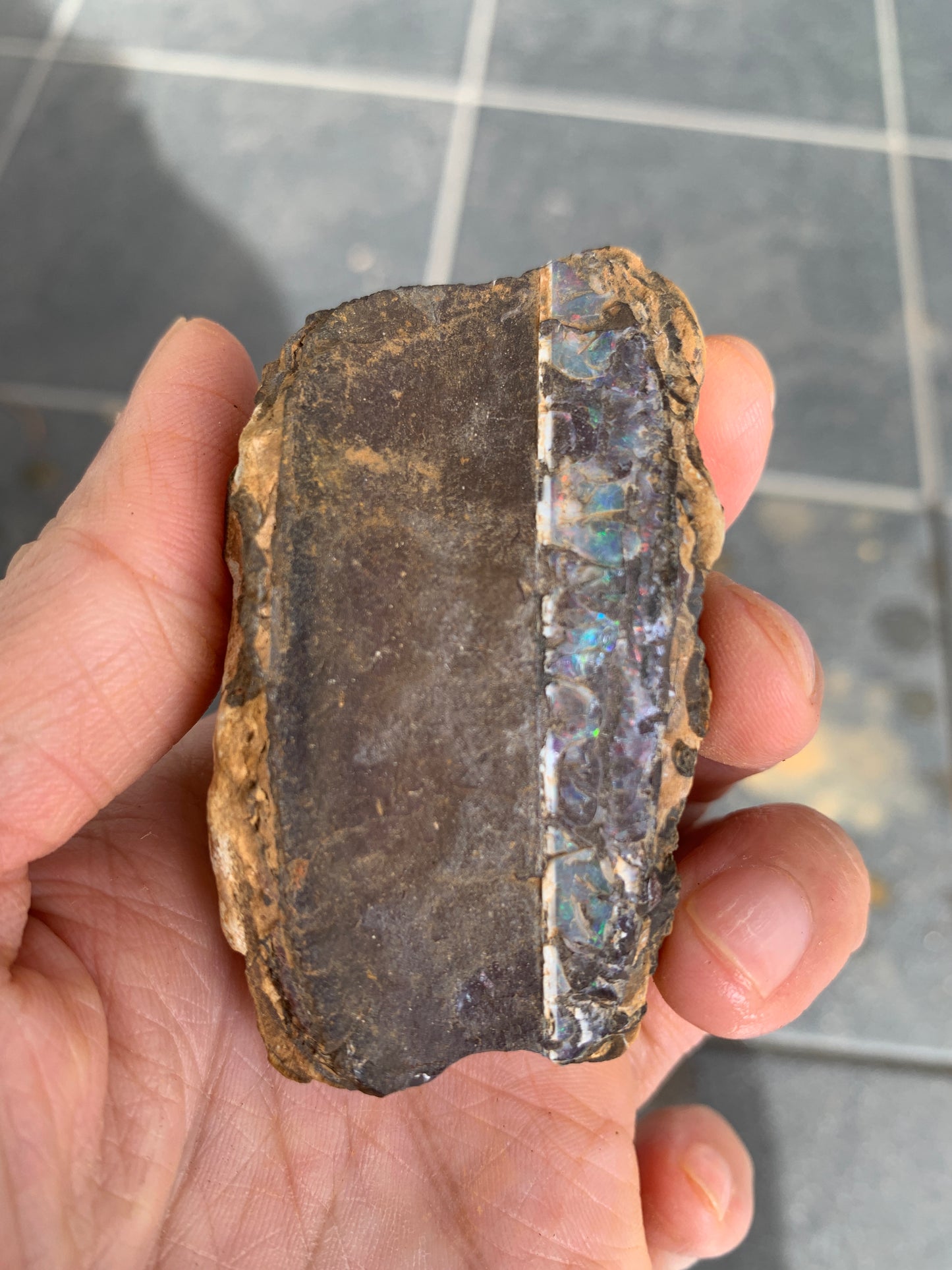 Roof Rocks. Rough Boulder Opal Set of Two. 259 Grams.