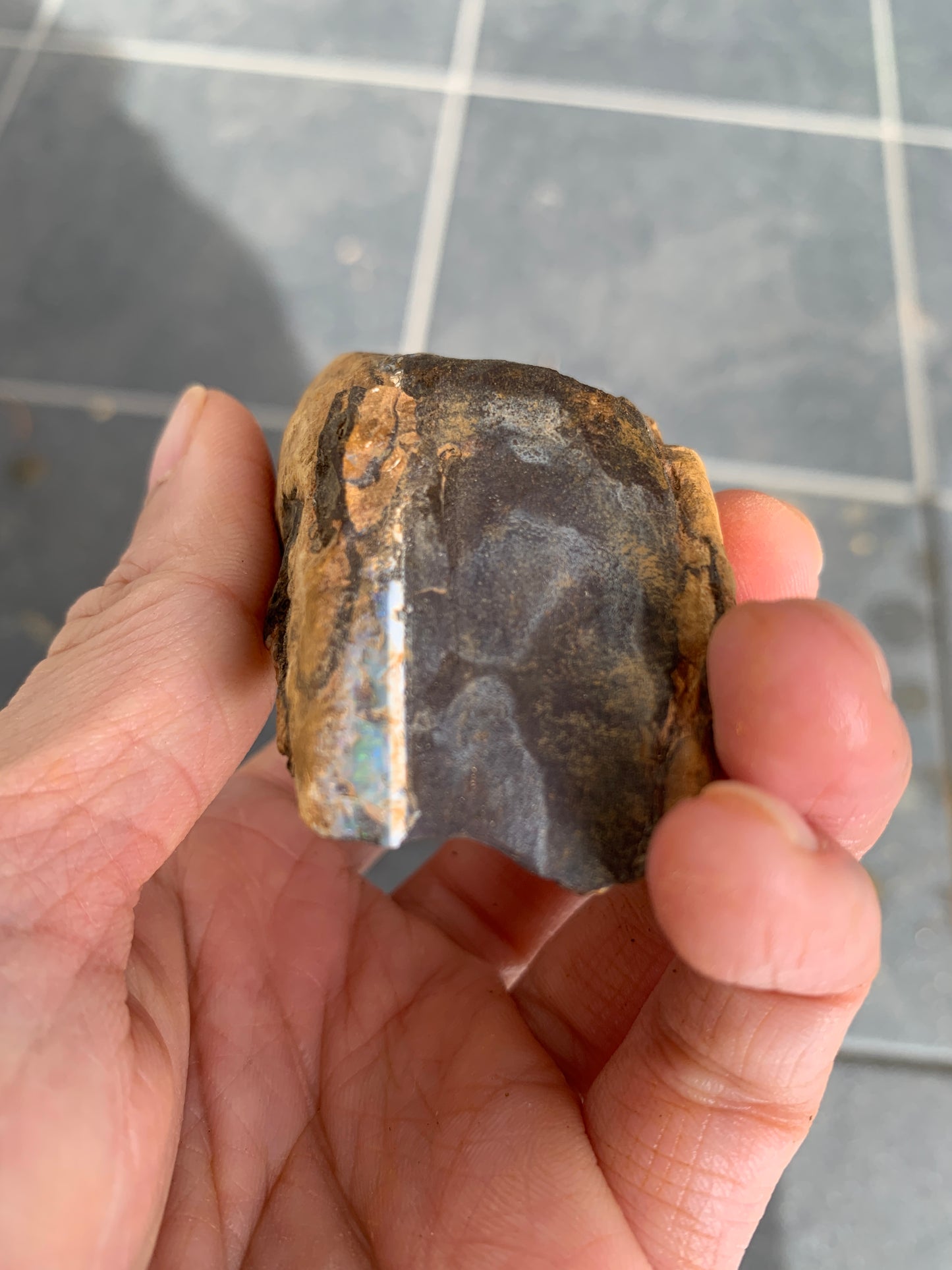 Roof Rocks. Rough Boulder Opal Set of Two. 259 Grams.