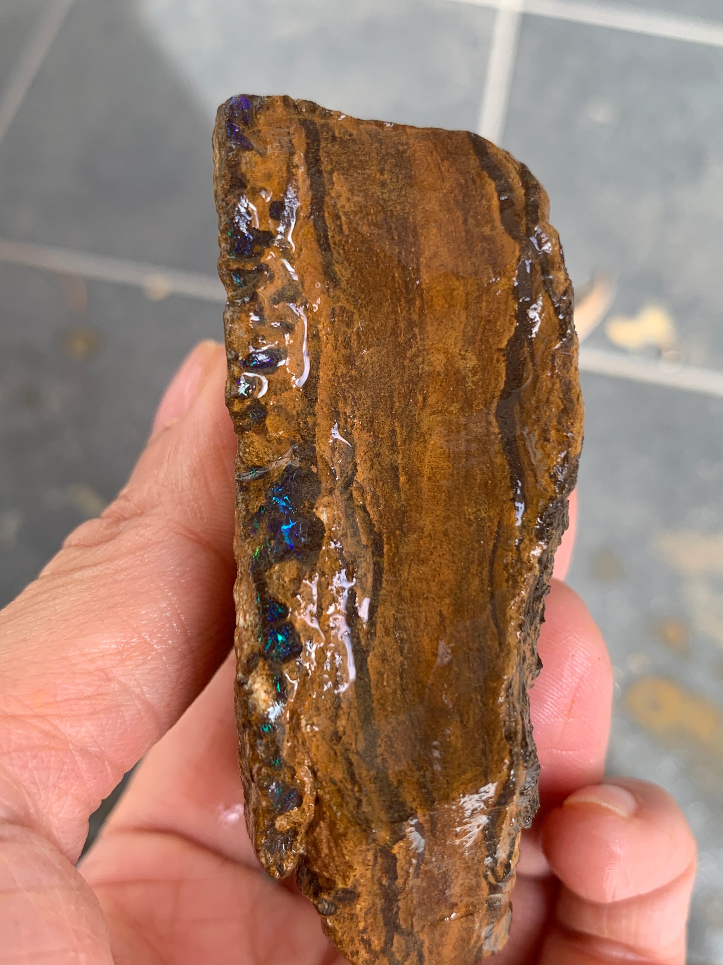 Roof Rocks. Rough Boulder Opal Set of Two. 259 Grams.