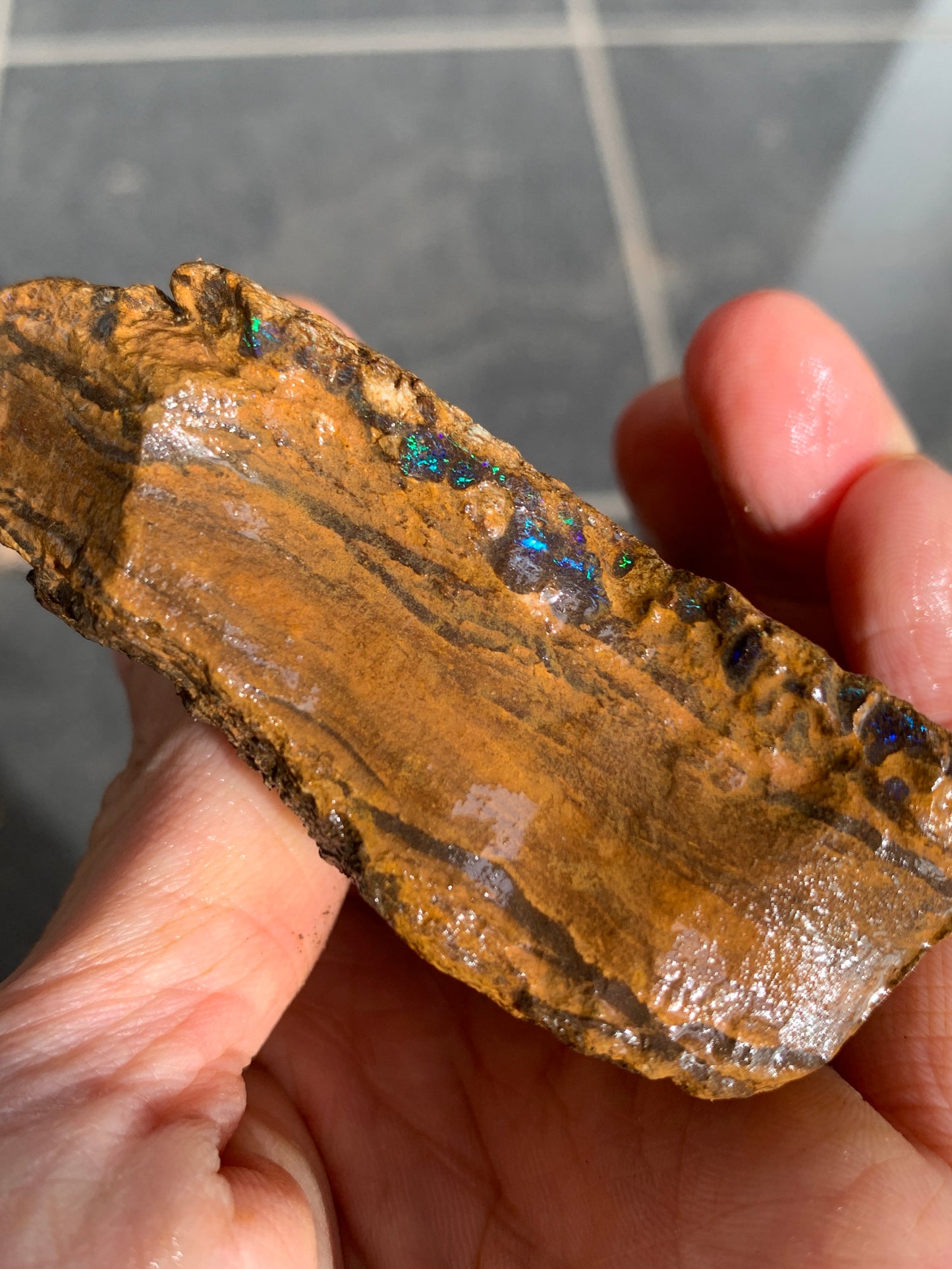 Roof Rocks. Rough Boulder Opal Set of Two. 259 Grams.