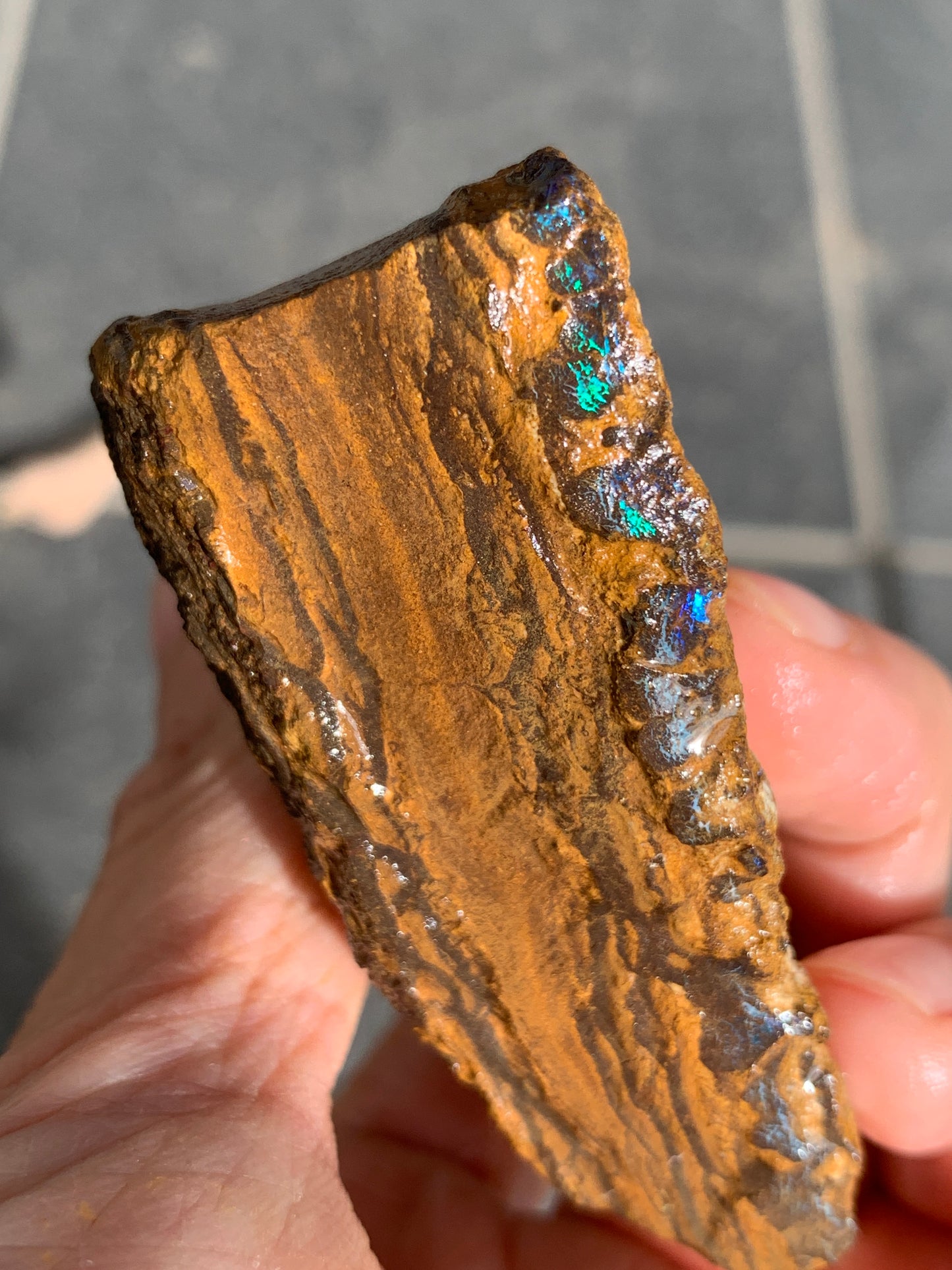 Roof Rocks. Rough Boulder Opal Set of Two. 259 Grams.