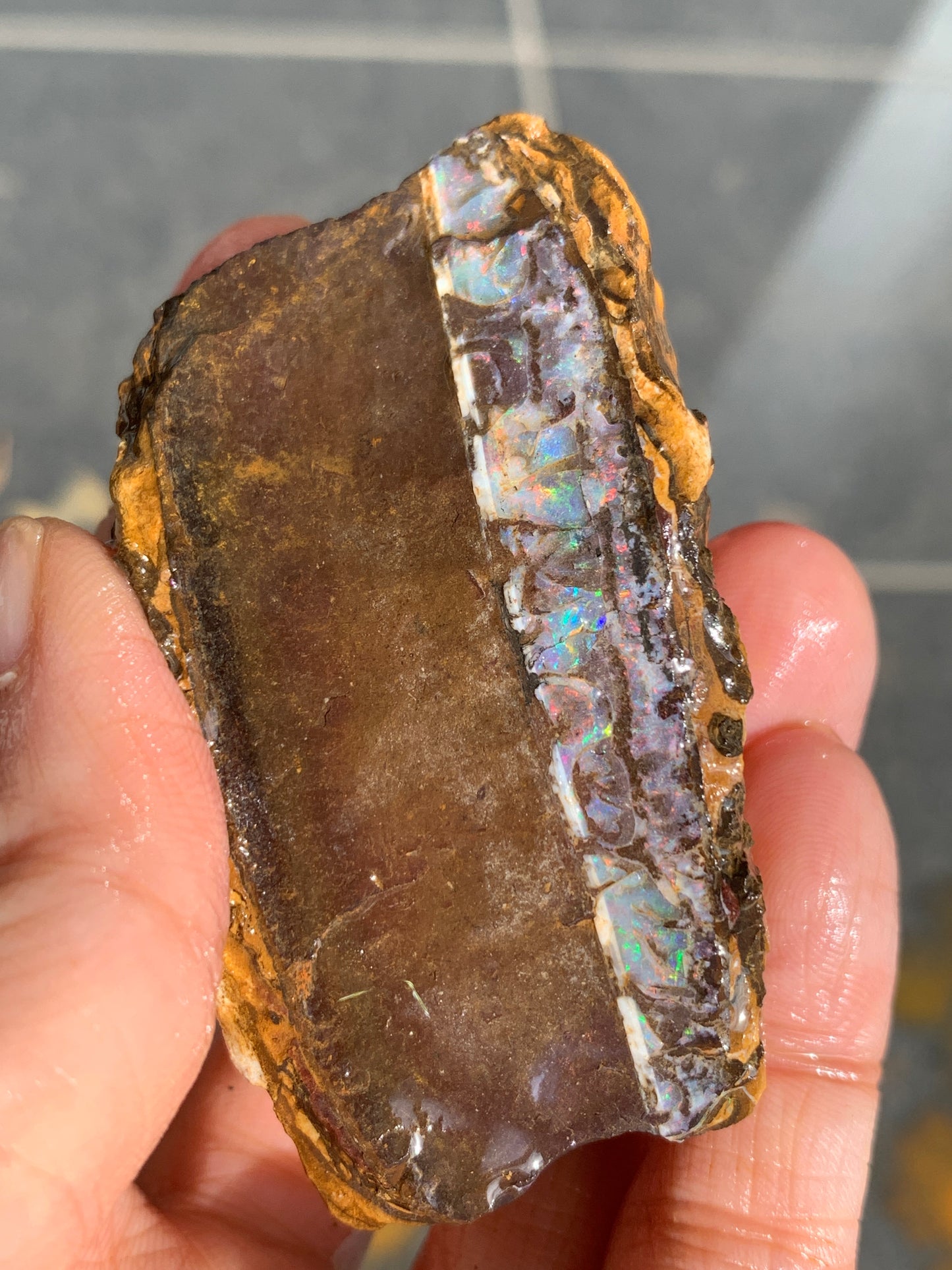 Roof Rocks. Rough Boulder Opal Set of Two. 259 Grams.