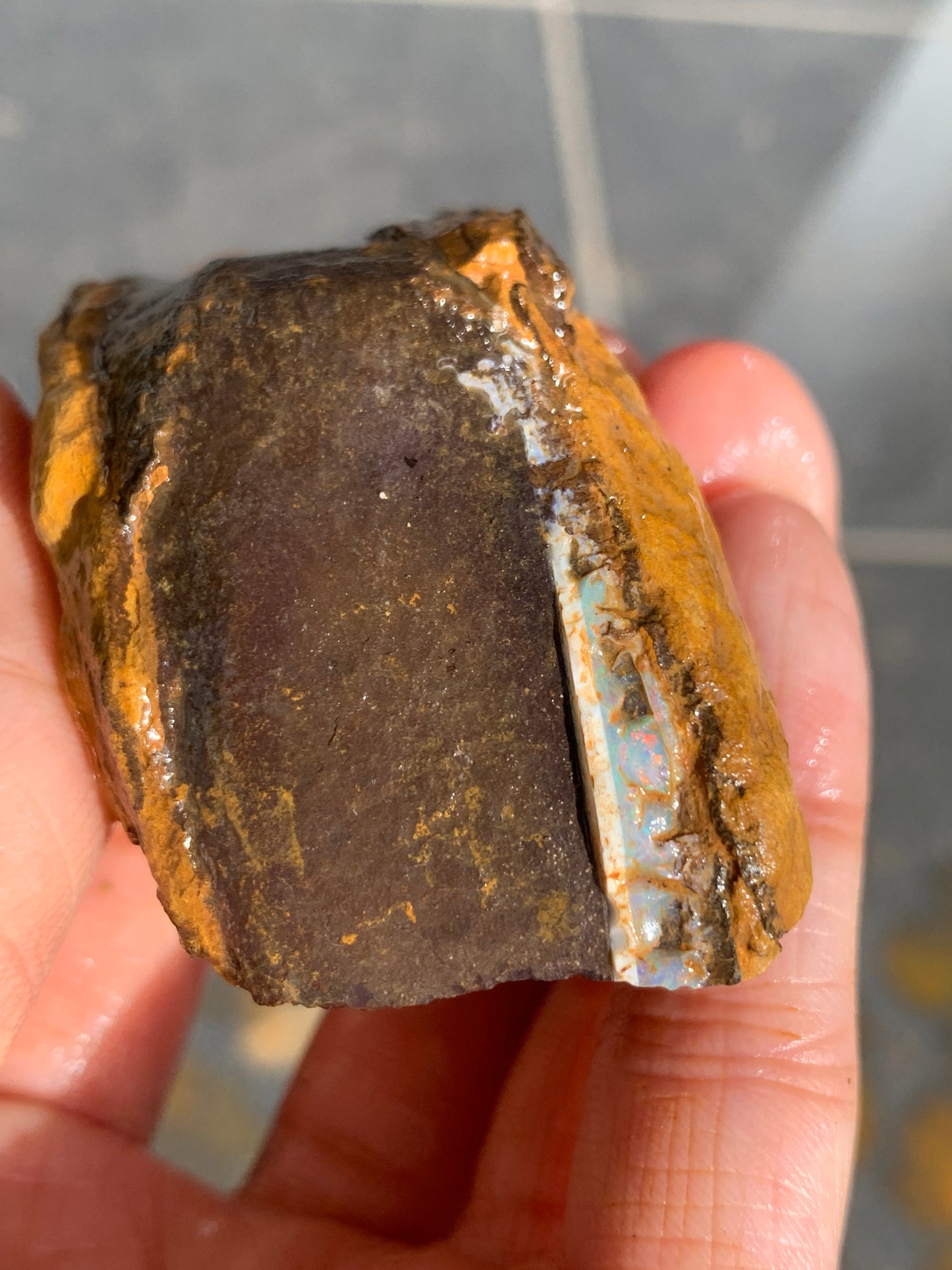 Roof Rocks. Rough Boulder Opal Set of Two. 259 Grams.