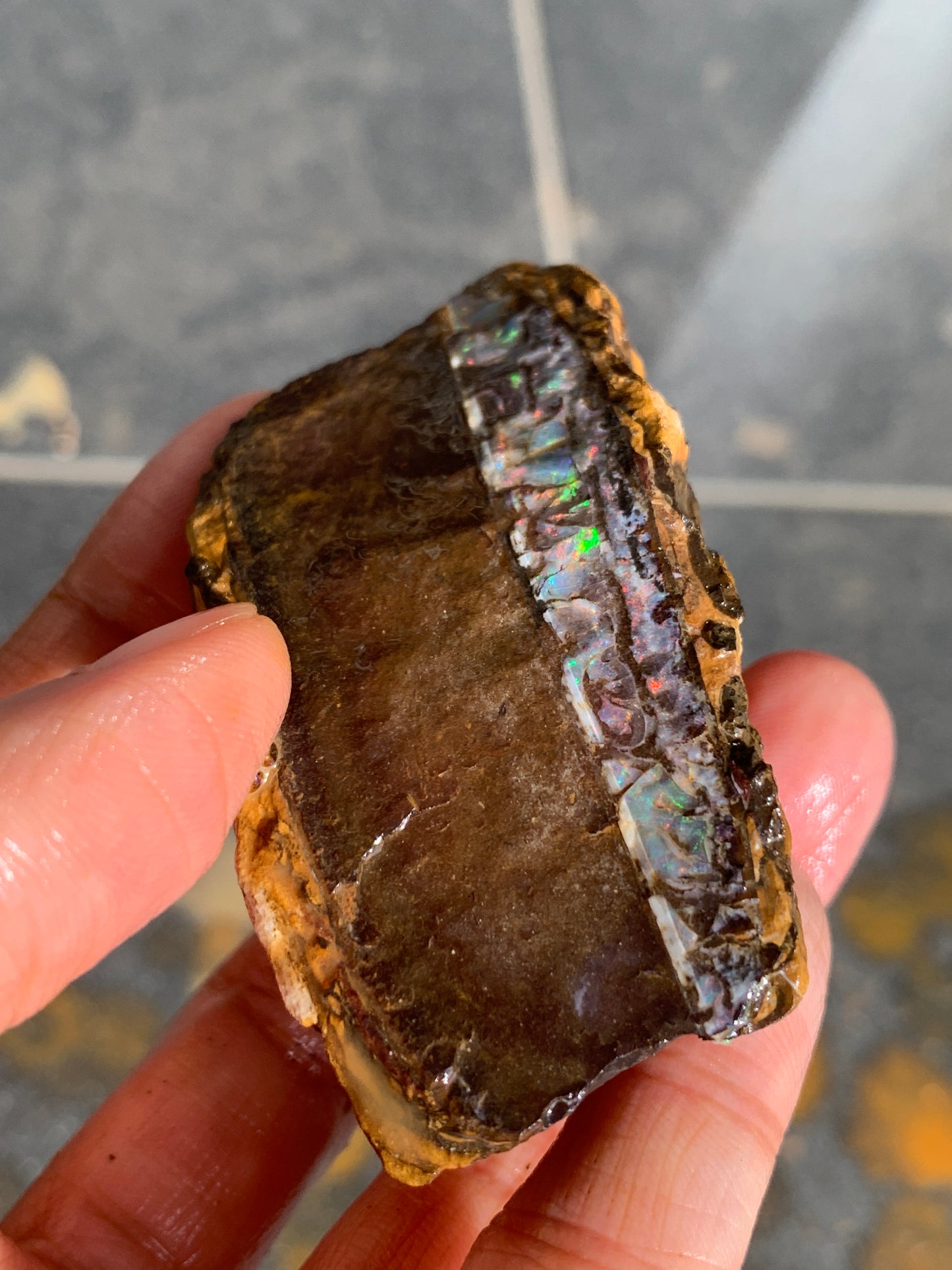 Roof Rocks. Rough Boulder Opal Set of Two. 259 Grams.