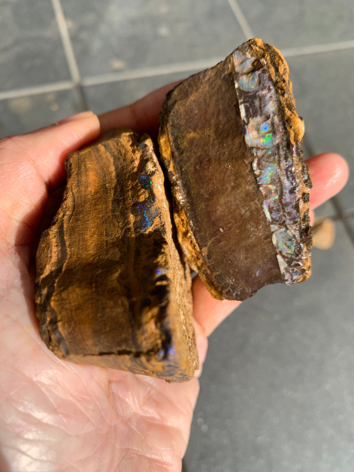 Roof Rocks. Rough Boulder Opal Set of Two. 259 Grams.