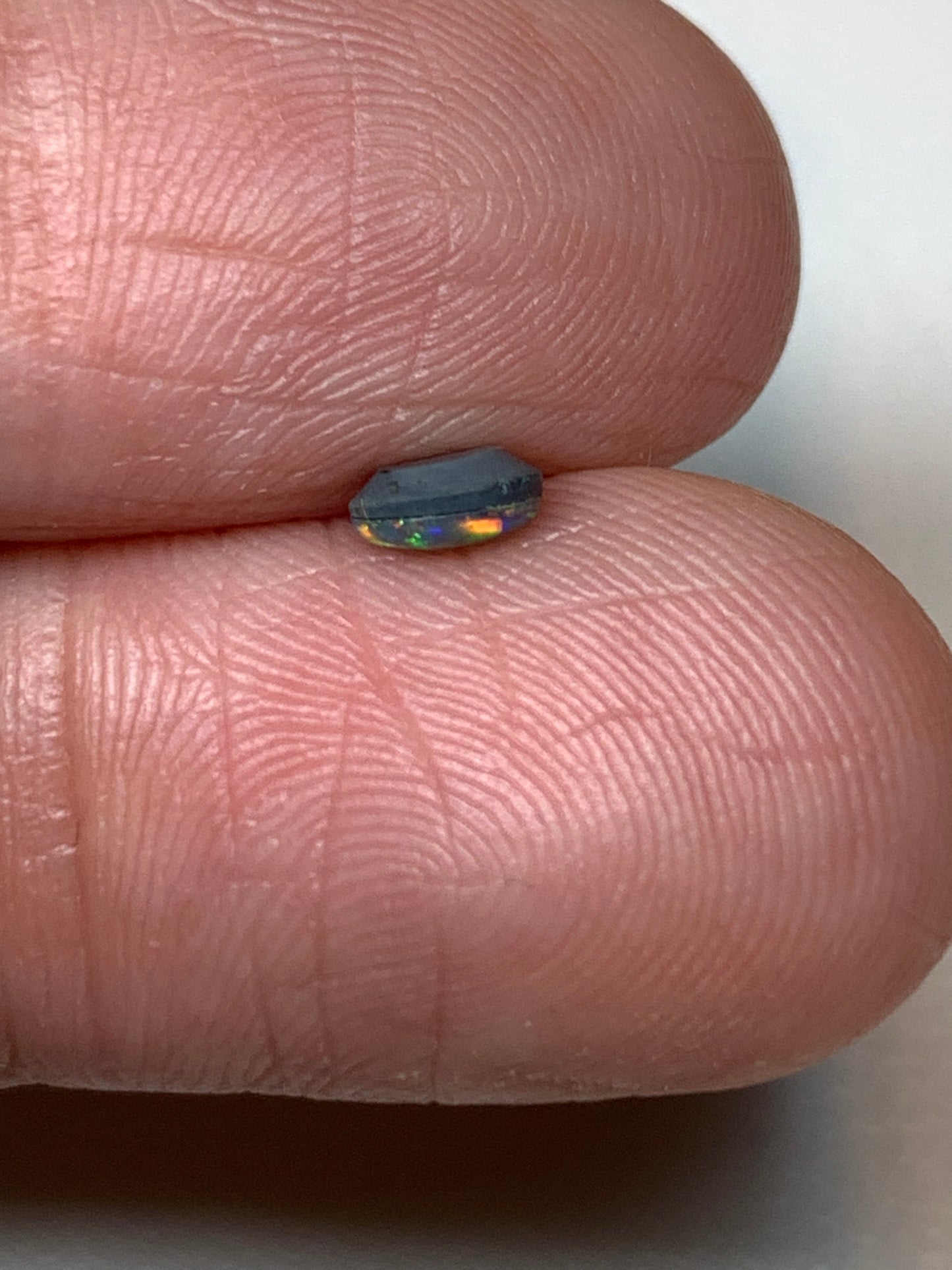Autumn Spray. Lightning Ridge Doublet Black Opal. 0.25 Ct