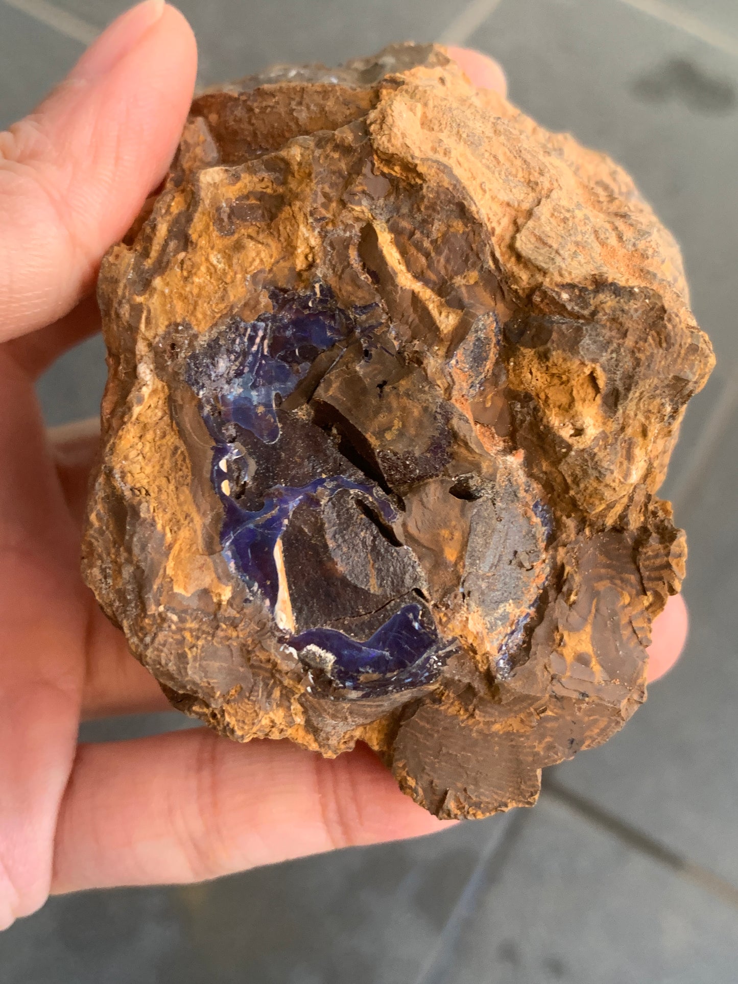 Shiny Purple. Rough Boulder Opal Rock. 263 Grams