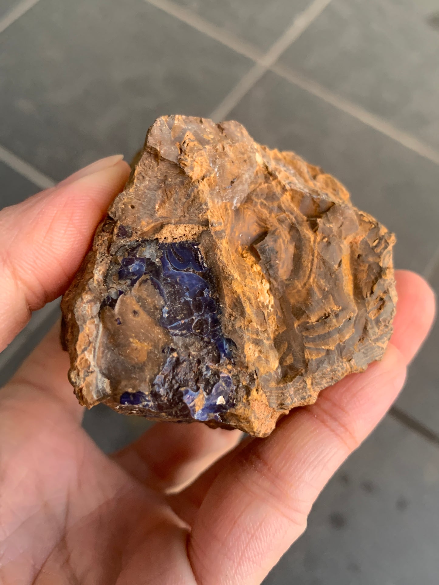 Shiny Purple. Rough Boulder Opal Rock. 263 Grams