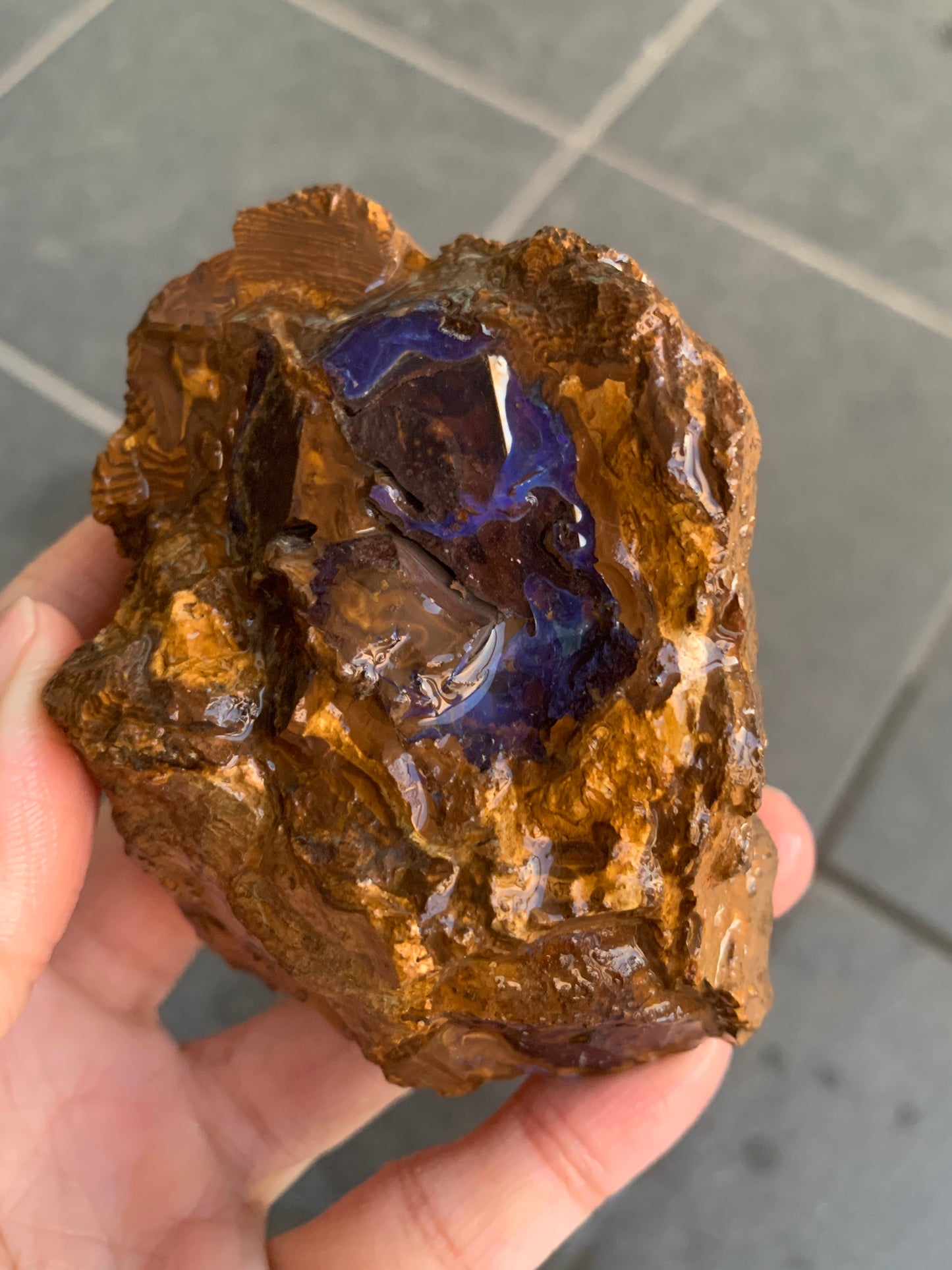 Shiny Purple. Rough Boulder Opal Rock. 263 Grams