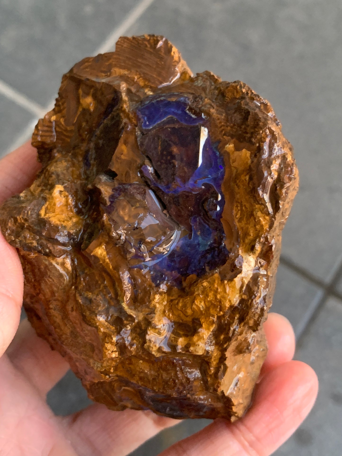 Shiny Purple. Rough Boulder Opal Rock. 263 Grams