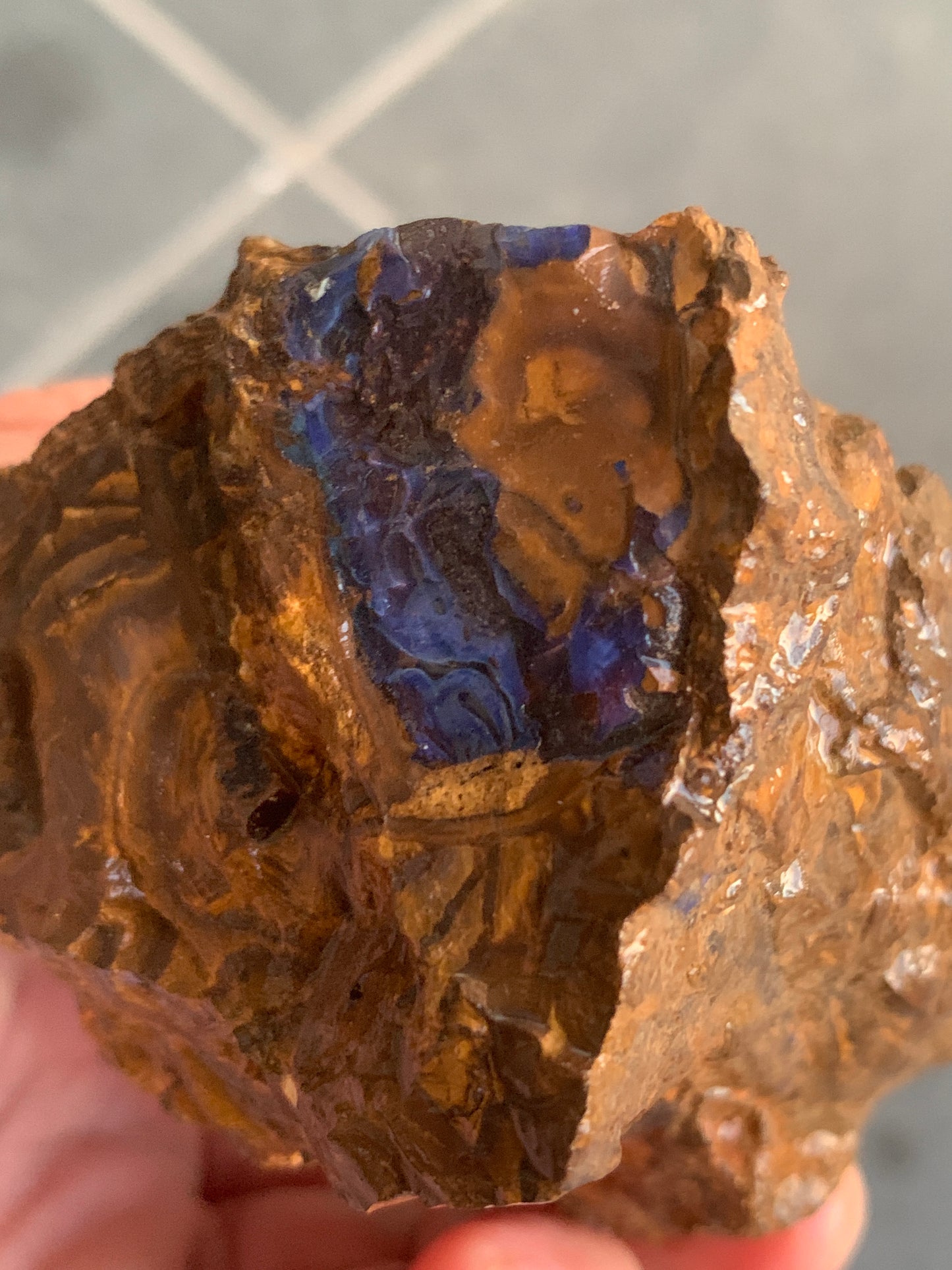 Shiny Purple. Rough Boulder Opal Rock. 263 Grams
