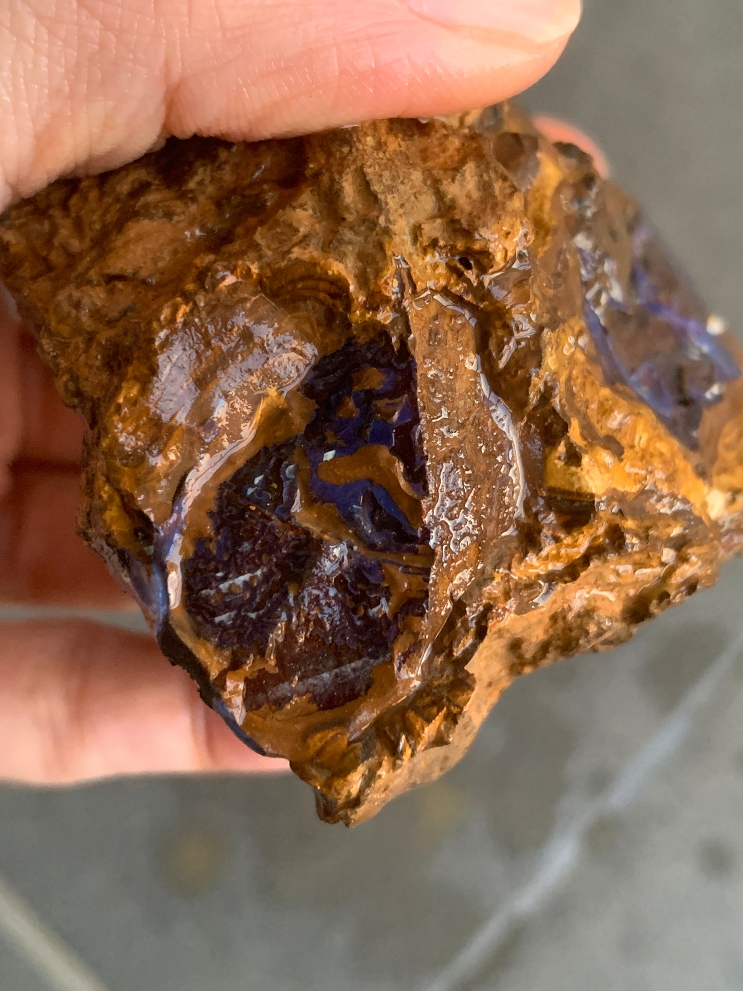 Shiny Purple. Rough Boulder Opal Rock. 263 Grams
