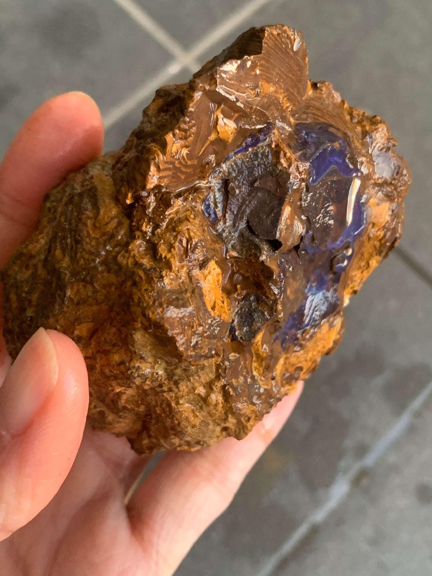Shiny Purple. Rough Boulder Opal Rock. 263 Grams