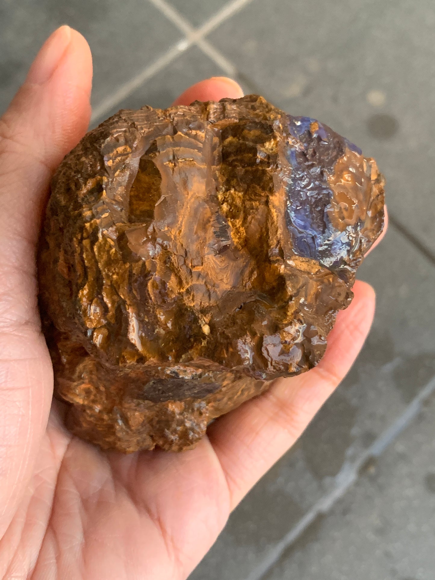 Shiny Purple. Rough Boulder Opal Rock. 263 Grams