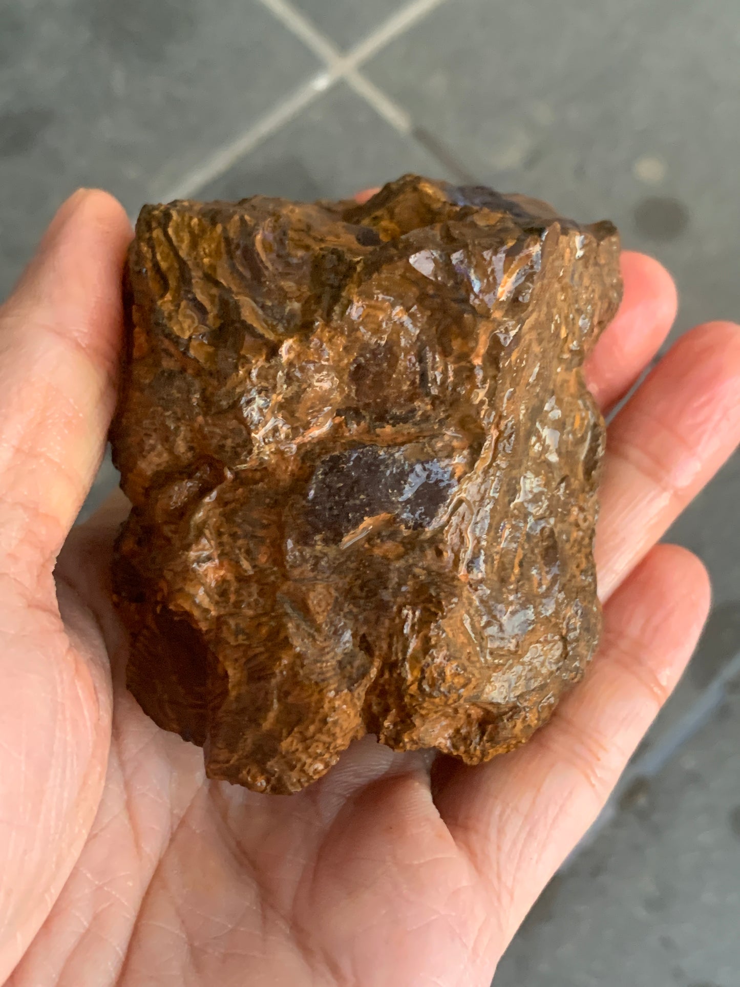 Shiny Purple. Rough Boulder Opal Rock. 263 Grams