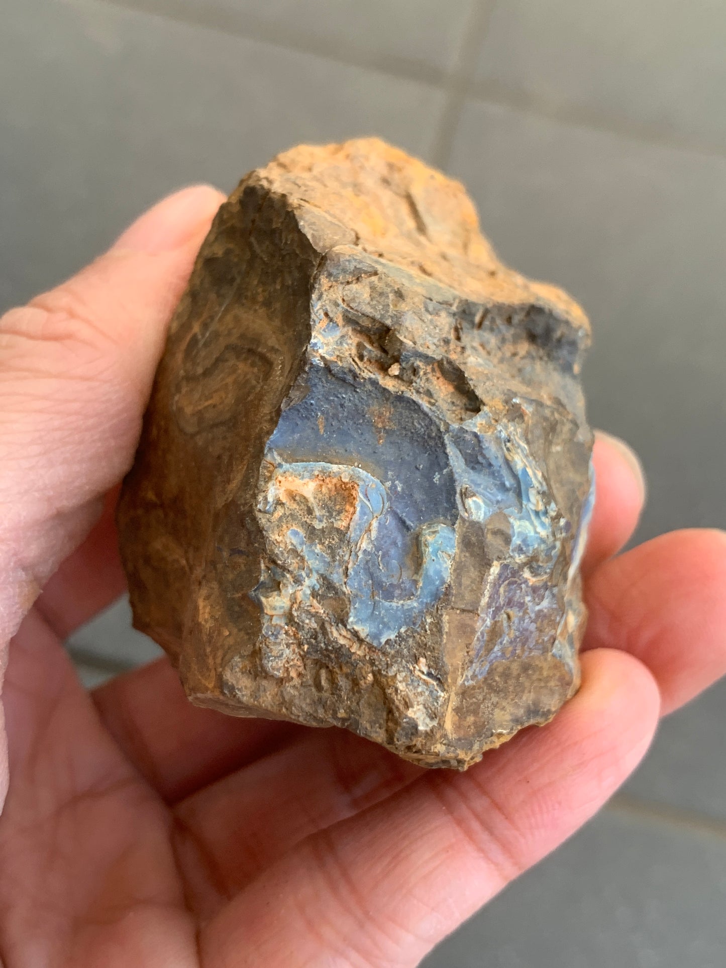 Great Starter Rock. Rough Boulder Opal. 144 Grams