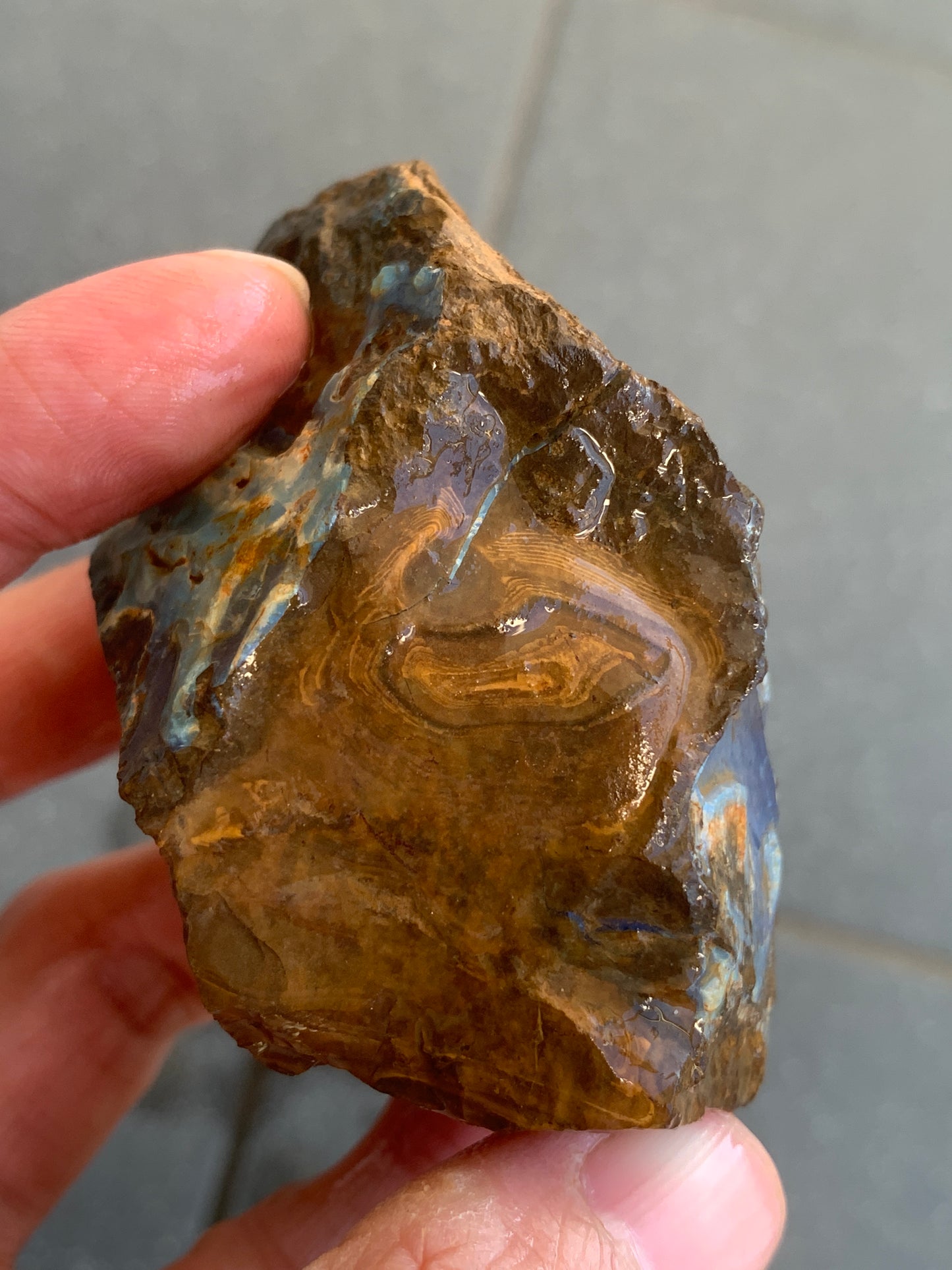 Great Starter Rock. Rough Boulder Opal. 144 Grams