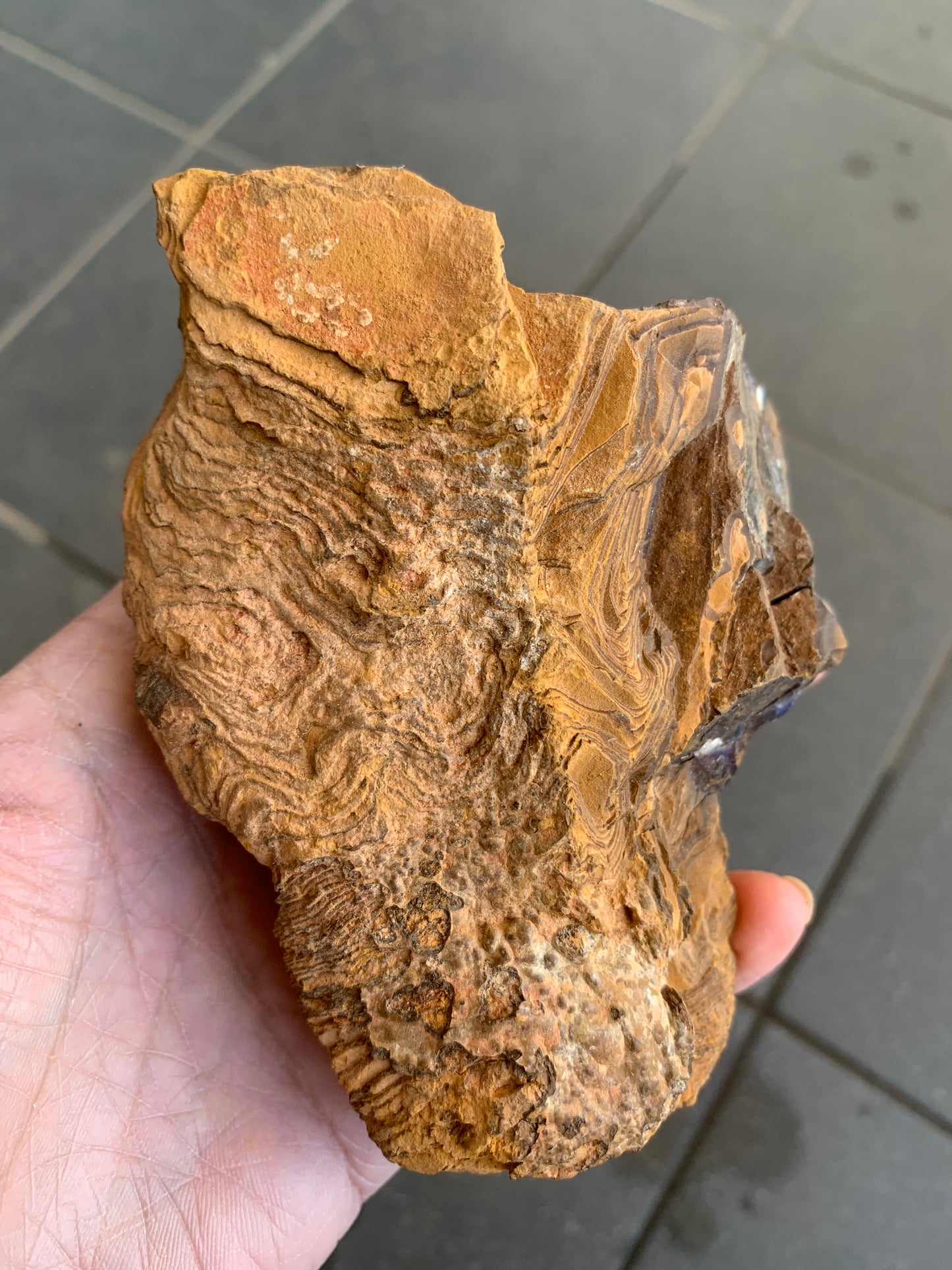 Rugged Starter Rock. Rough Boulder Opal. 506 Grams