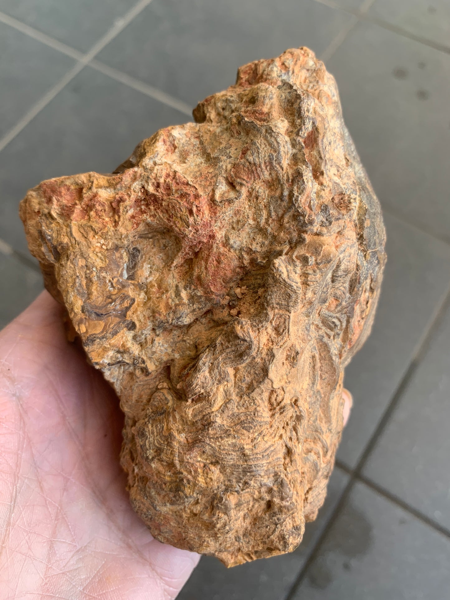 Rugged Starter Rock. Rough Boulder Opal. 506 Grams