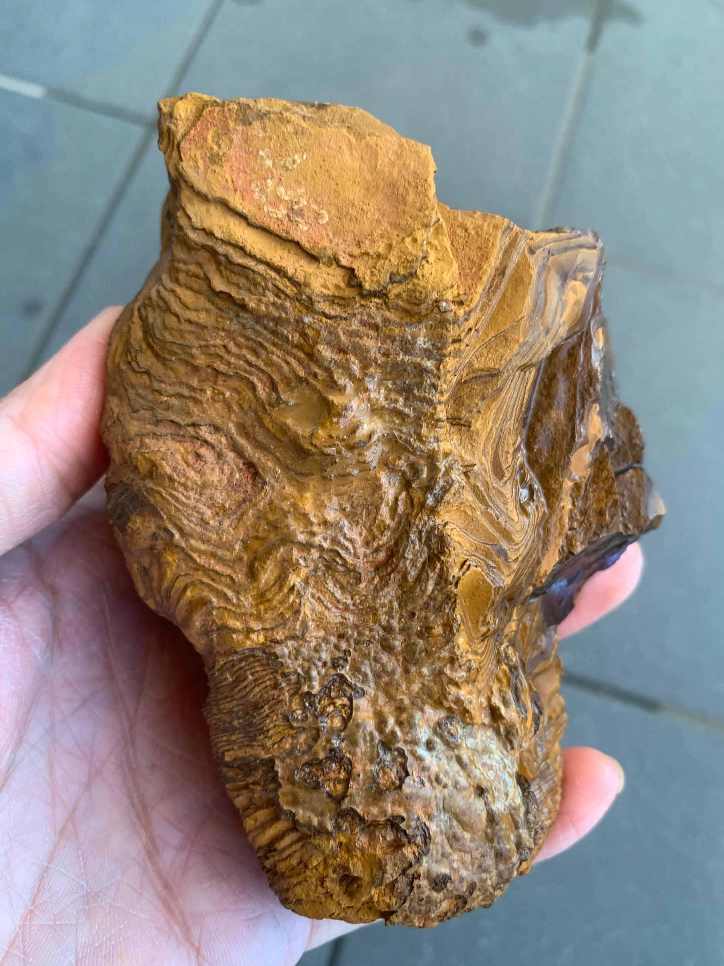Rugged Starter Rock. Rough Boulder Opal. 506 Grams